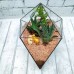 Флорариум "Чудесный сад", форма Кристалл 17* 27