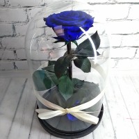 Роза в колбе Синяя Кинг, 30*18*10см
