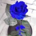 Роза в колбе. Синяя Премиум 