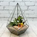 Флорариум Капля М,  "Коралловый риф"