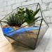 Флорариум "Морская прогулка", Икосаэдр