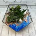 Флорариум "Морская прогулка", Икосаэдр