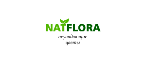 Неувядающие цветы NatFlora