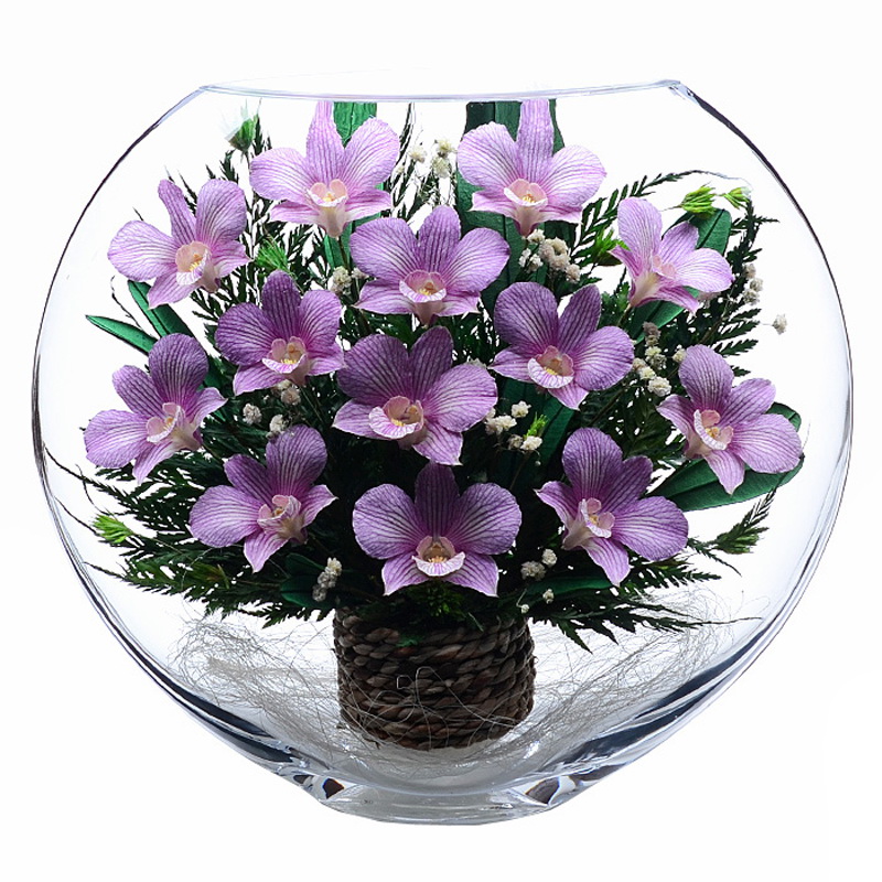 Орхидеи в стекле, NFELO-01